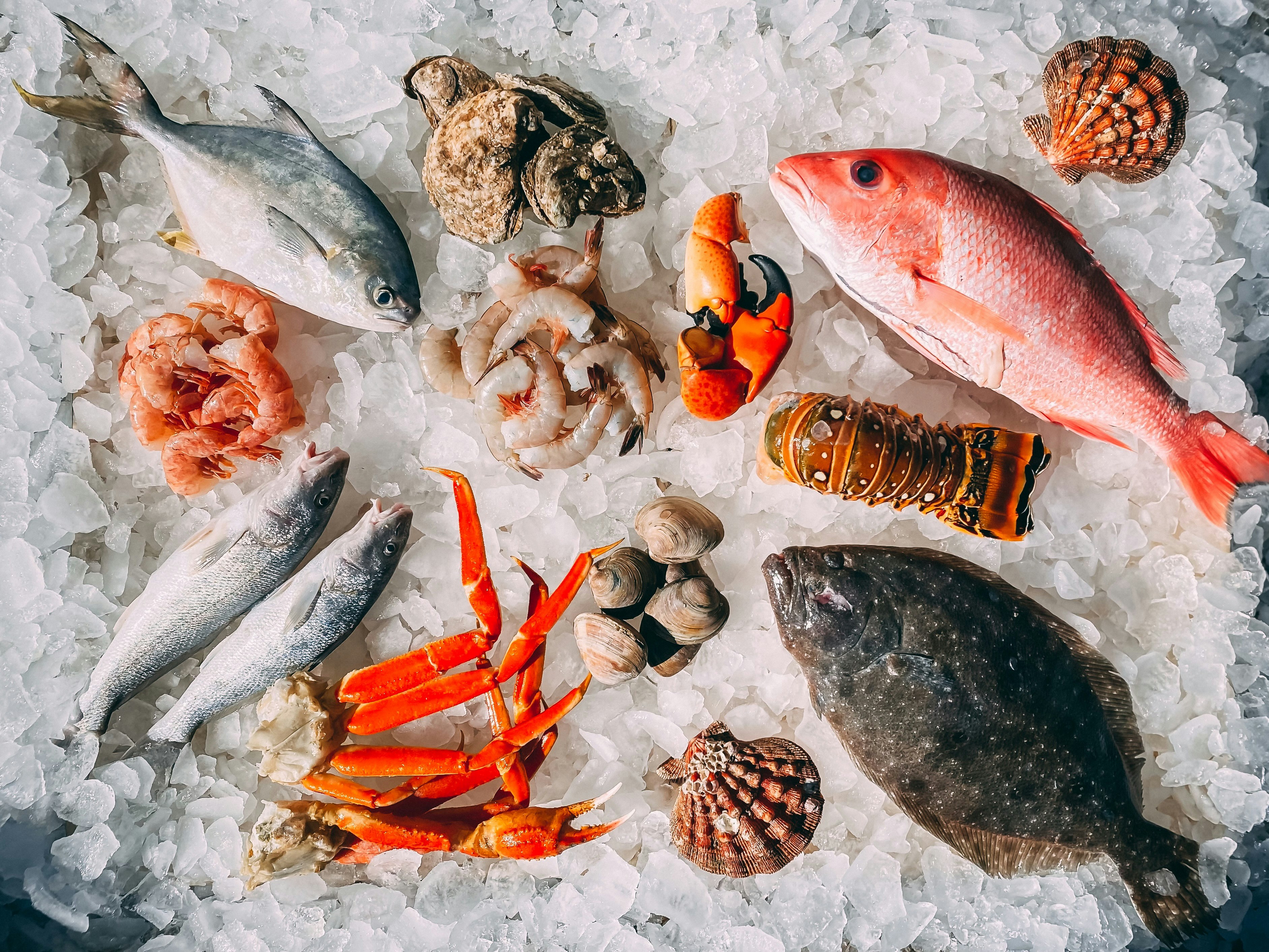 Livestocks & Seafood products